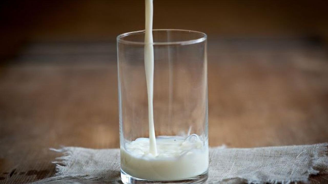 <b>Manfaat Susu Pasteurisasi</b><br>
