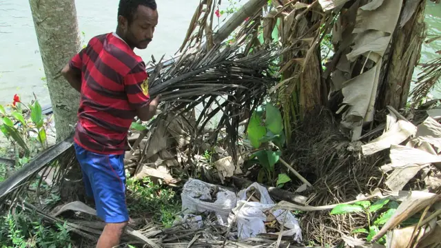 Warga Puay kumpulkan kerangka tulang tentara Jepang yangbanyak ditemukan dibawah pohon. (Dok foto: Hari Suroto/balai arkeologi Papua)