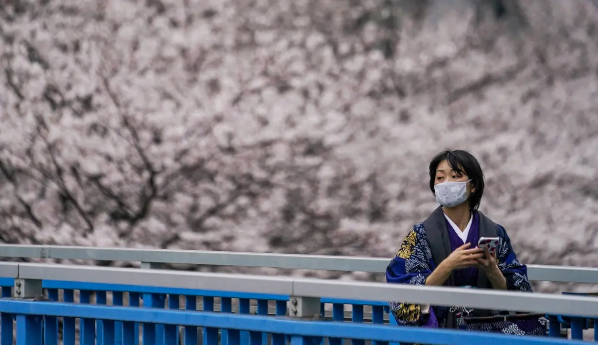 Seorang wanita mengenakan pakaian tradisional Kimono melihat kanopi bunga sakura saat dia melewati jembatan penyeberangan di Tokyo, Jepang, Minggu (27/3/2022). (AP Photo/Kiichiro Sato)