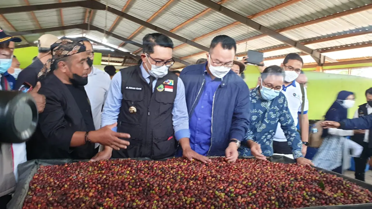 Rektor IPB Arif Satria bersama Gubernur Jawa Barat Ridwan Kamil, di sela-sela persiapan pelepasan ekspor kopi Arabika Garut ke Belanda, beberapa waktu lalu.