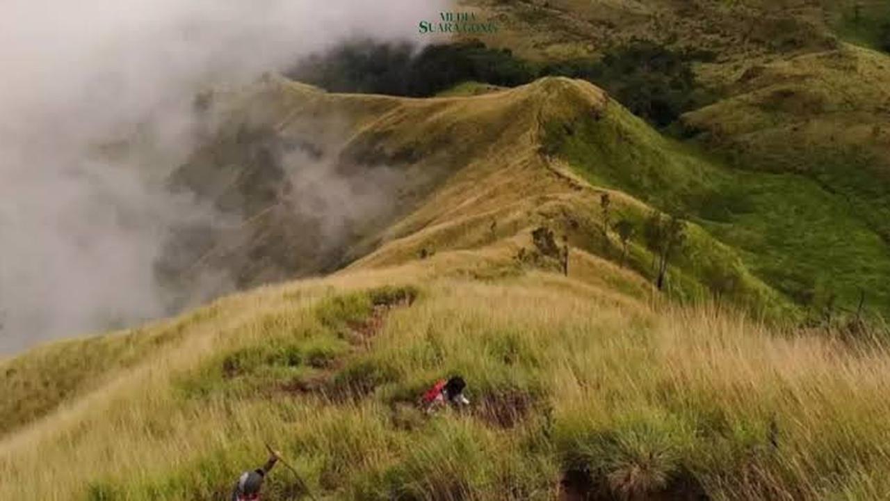 Jalur Arjuno-Welirang Dibuka Lagi Pekan Ini, Ini Kuota dan Syarat Barunya