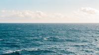 Aroma laut yang menenangkan/copyright pexels/Kellie Churchman
