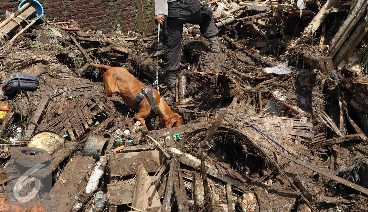 Anjing pelacak K-9 dari Polda Jawa Barat di  kerahkan untuk menyisir reruntuhan bangunan rumah akibat banjir bandang di Kampung Bojong Sudika, Cimacan, Garut, Jumat (23/9). (Liputan6.com/Johan Tallo)