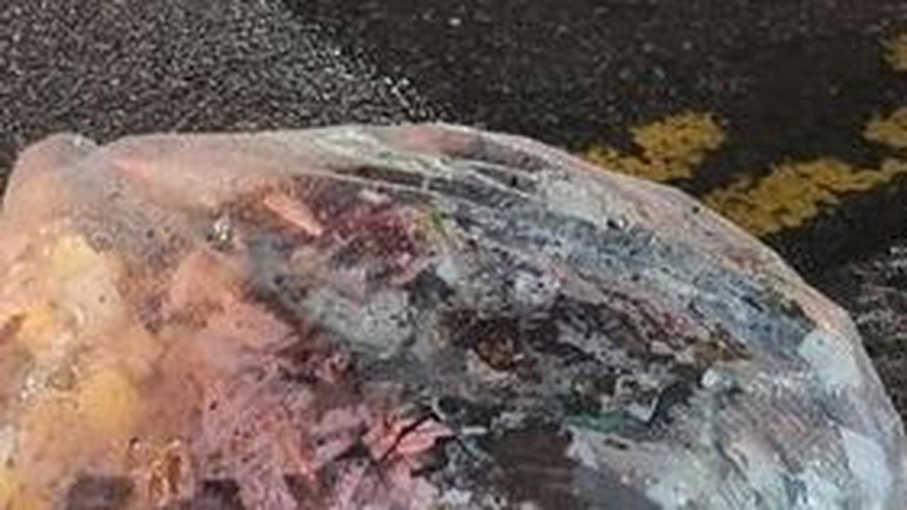 Korea Utara mengatakan balon yang mereka kirim adalah reaksi balasan atas kampanye propaganda yang dilakukan pembelot dan aktivis di Korea Selatan.