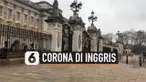 THUMBNAIL CORONA