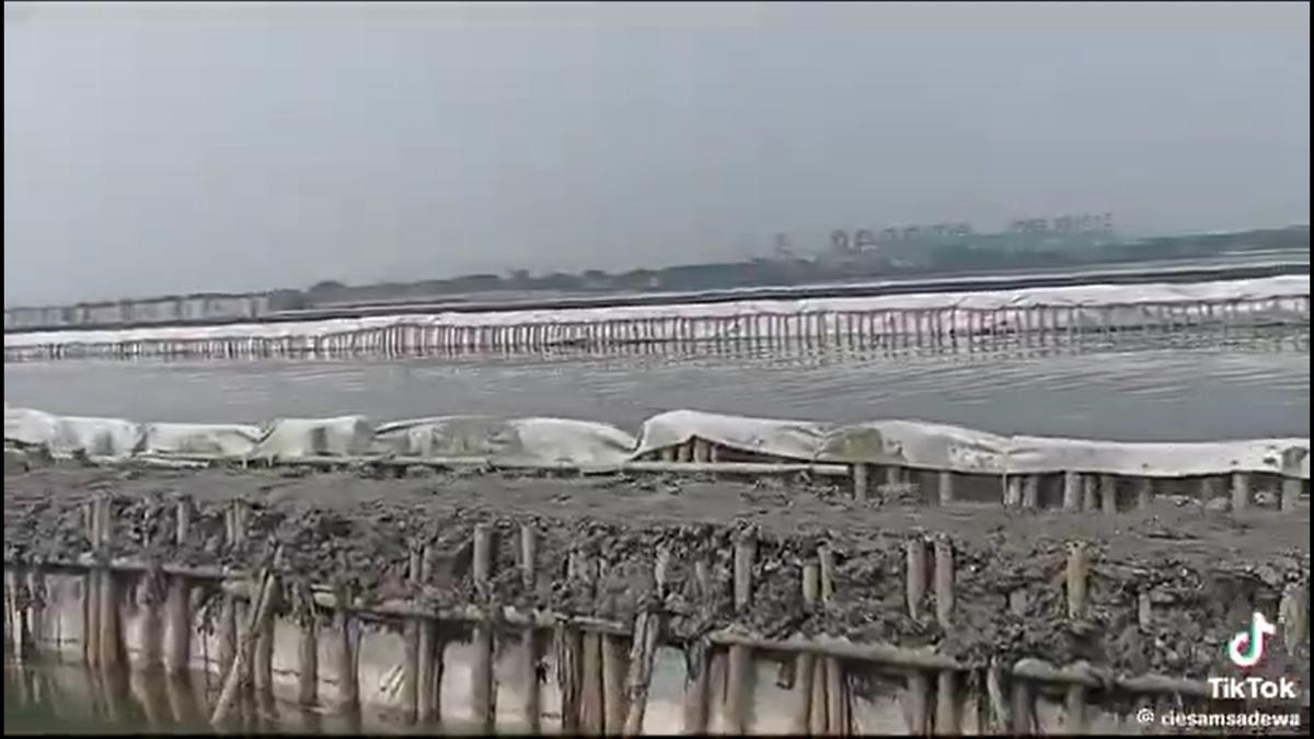5 Kilometer Pagar Laut di Tangerang Dibongkar Hari Ini