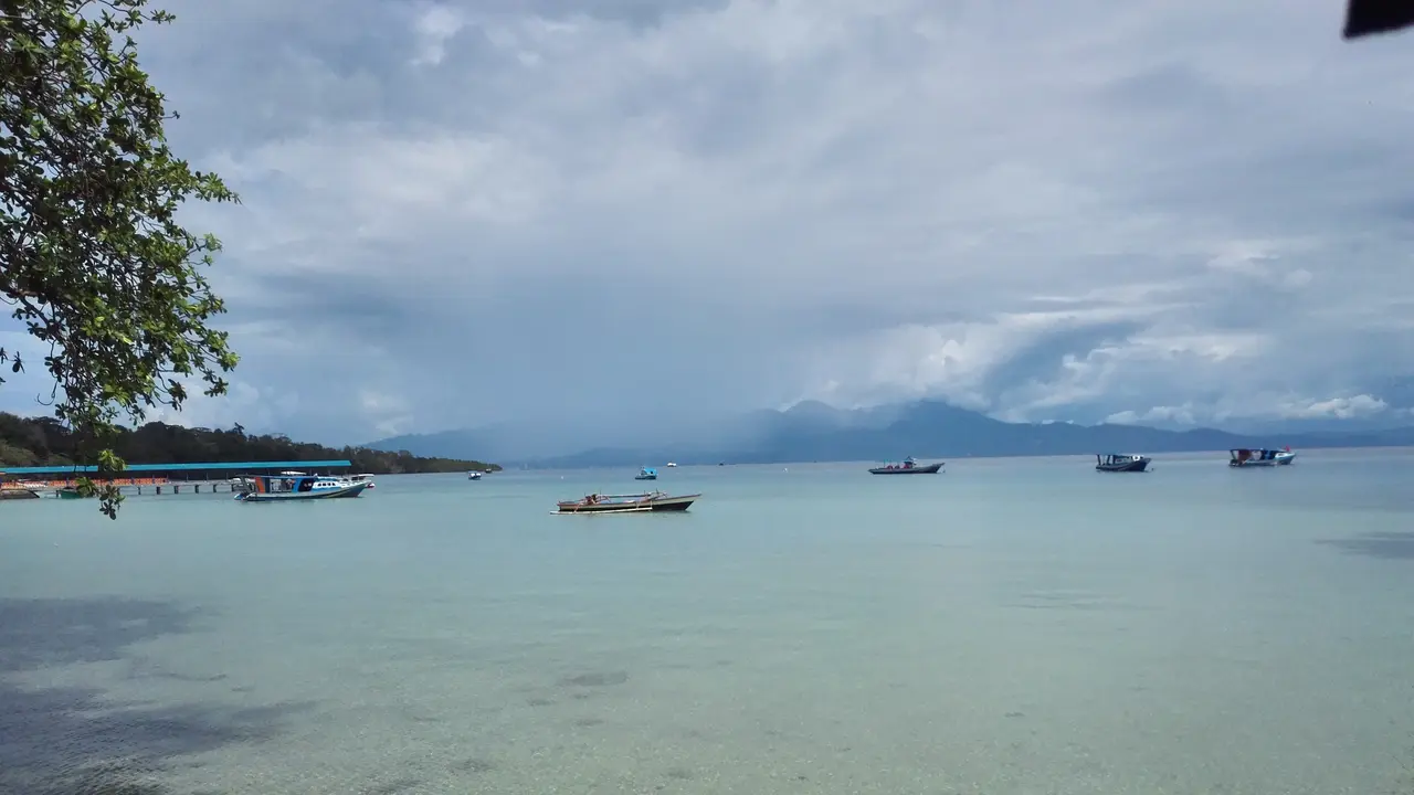 Kelapa Hingga Wisata, Sumbangsih RI untuk Warga Asia Pasifik