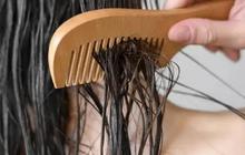 Rambut Tipis? Ini 5 Metode Alami yang Ampuh untuk Menebalkannya