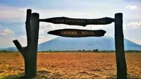 VIDEO: Taman Nasional Baluran, Pesona Eksotis Afrika Pulau Jawa