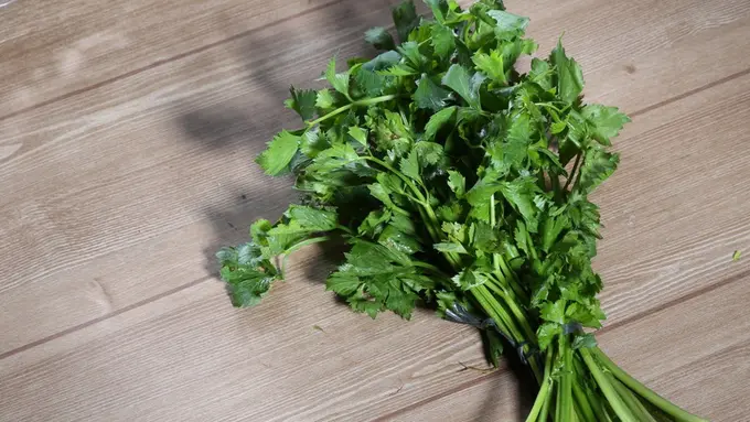 Manfaat dari Seledri untuk Kecantikan yang Wajib Kamu Tahu