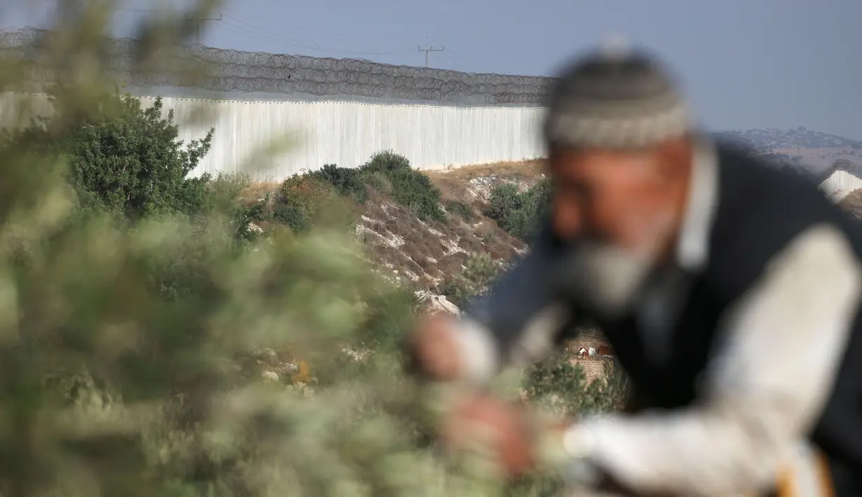 Bertahun-tahun, warga Palestina dari desa-desa memiliki tanah yang dipisahkan oleh tembok yang dibangun Israel. (HAZEM BADER/AFP)
