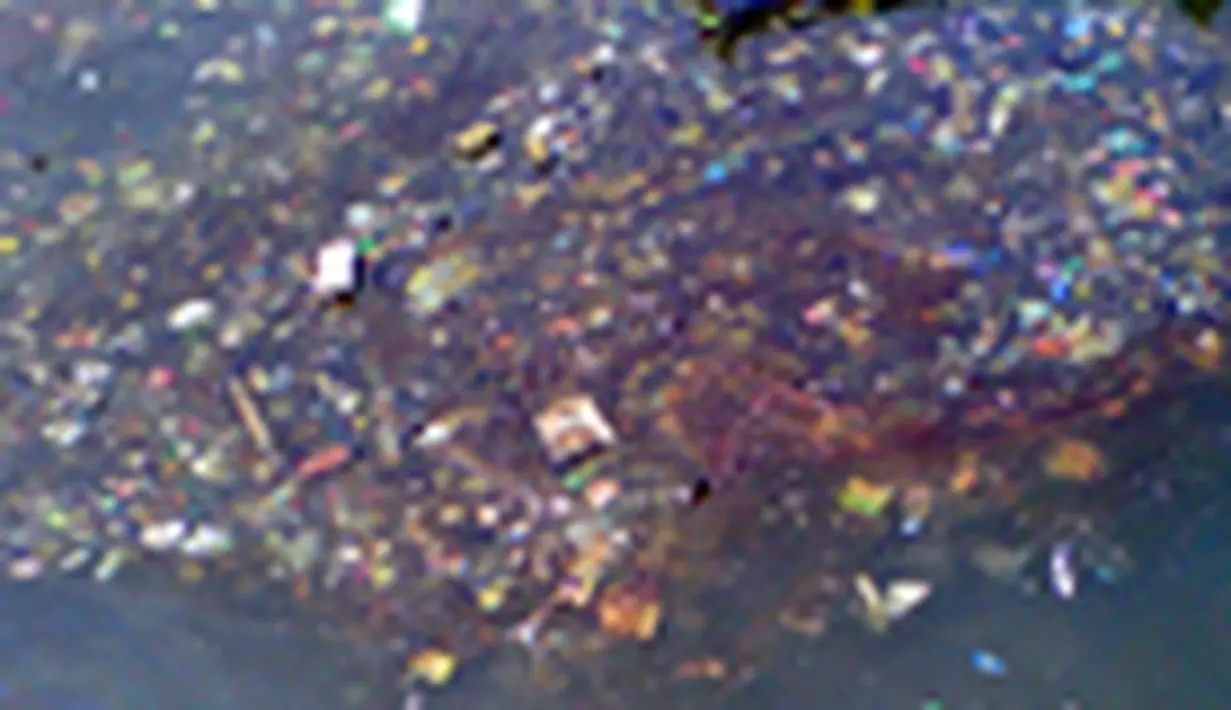 liputan6