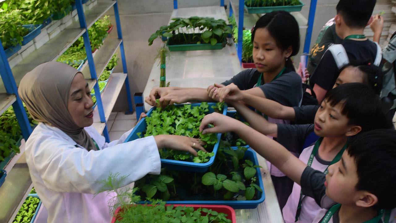 FOTO: Belajar Hidroponik di Kebun Vertikal Tertinggi di Indonesia