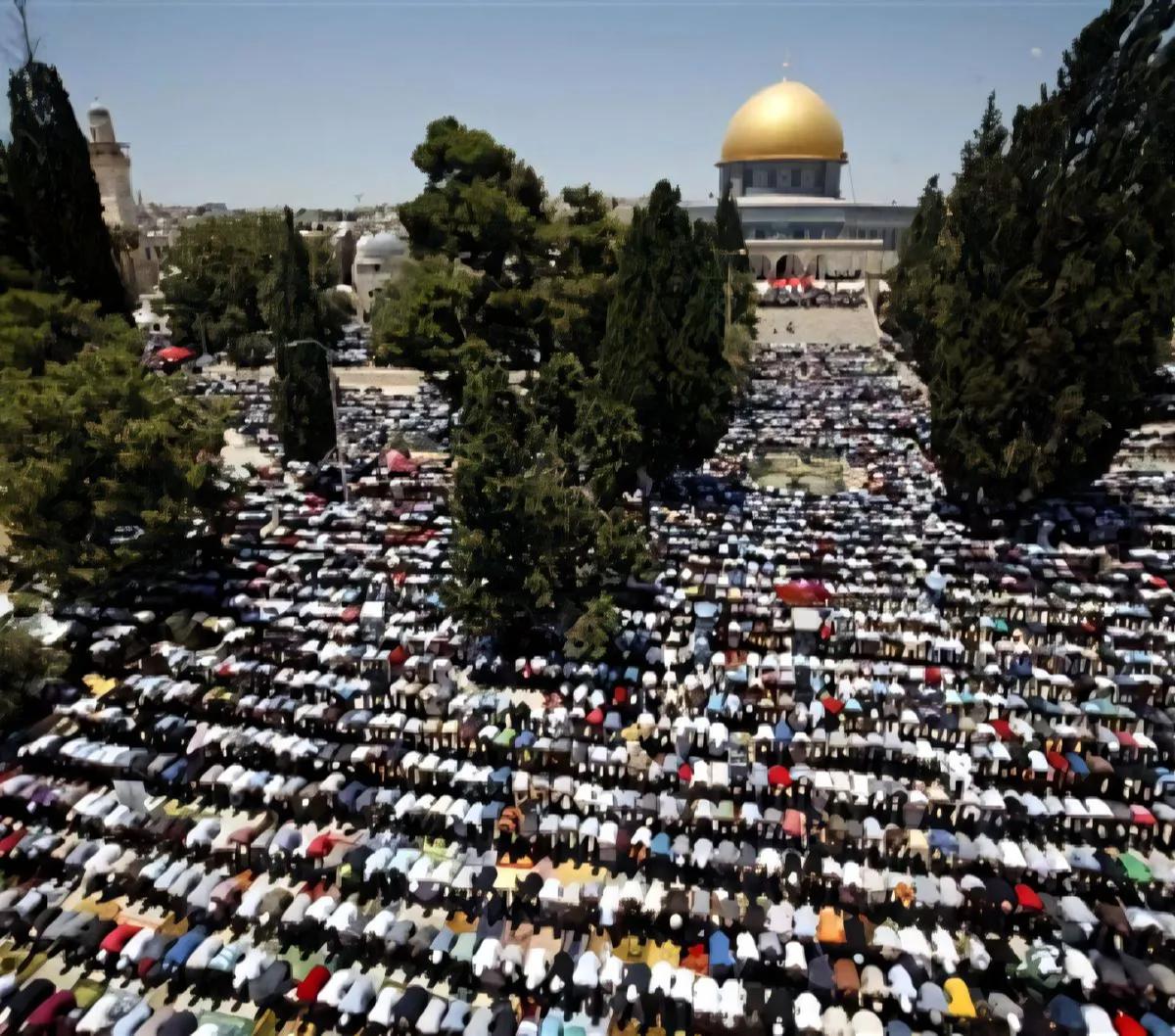 Berikut daftar kerajinan tangan yang juga memiliki inisiatif berdonasi hasil setiap pembelian ke kamp pengungsi di Palestina, Yordania, dan Lebanon.