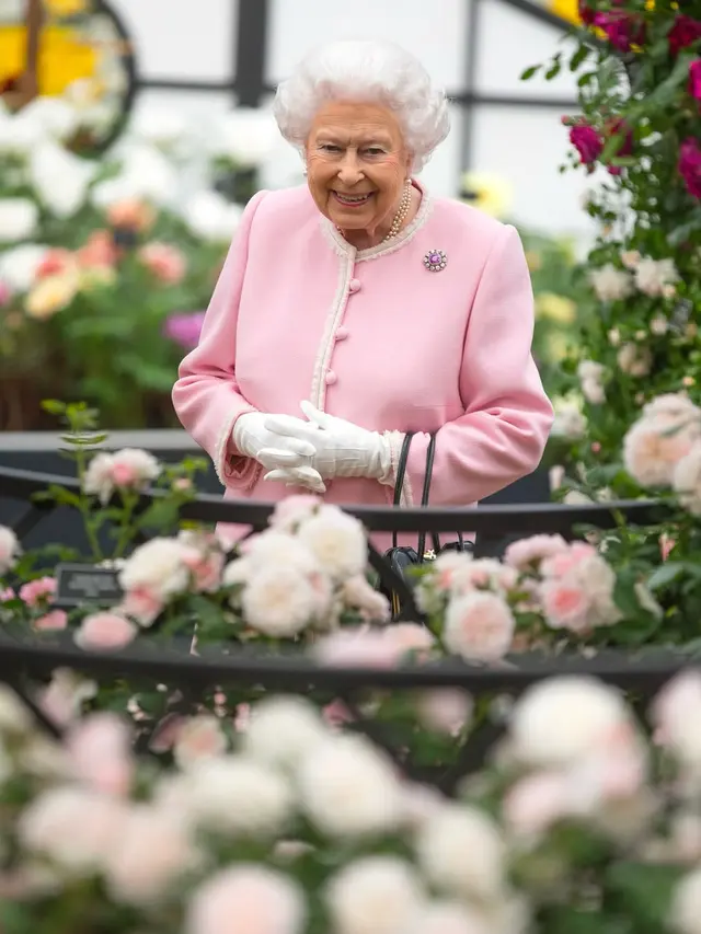 Helikopter Favorit Ratu Elizabeth Akhirnya Dilepas dan Dijual dengan Harga Mahal