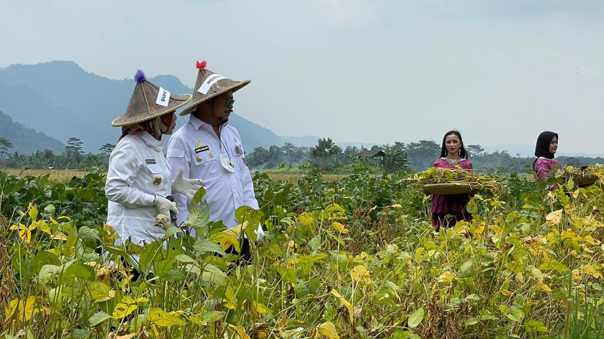 Mentan SYL Dorong Provinsi Banten Hasilkan Produk Kedelai yang Berkualitas - Vimarsana News