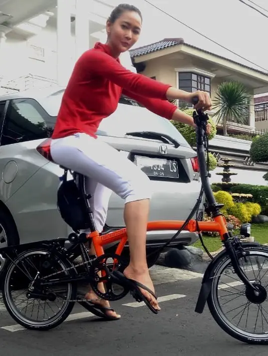 Inul Daratista (Instagram/inul.d)