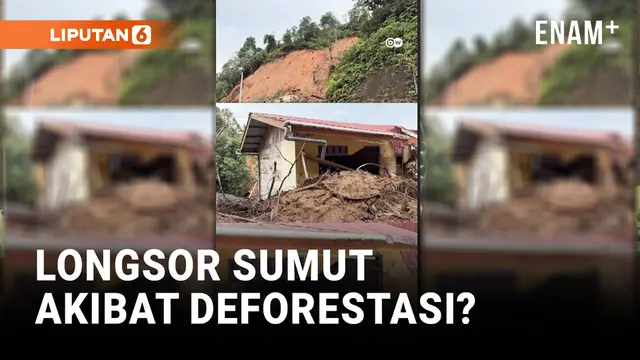 Kerugian Longsor di Sumatera Utara, Akibat Deforestasi?