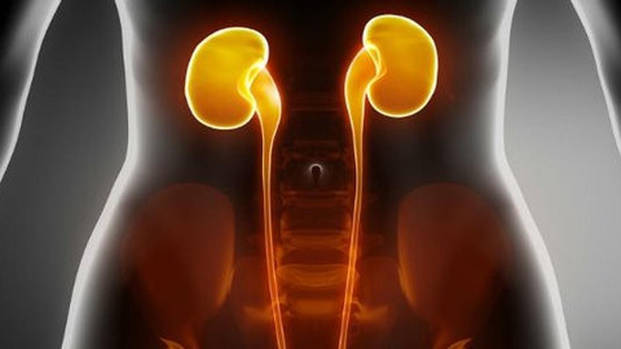 Menyehatkan organ vital tubuh