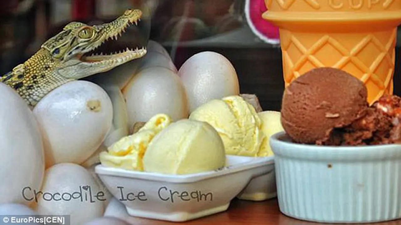 Es Krim dari Telur Buaya, Berani Coba?