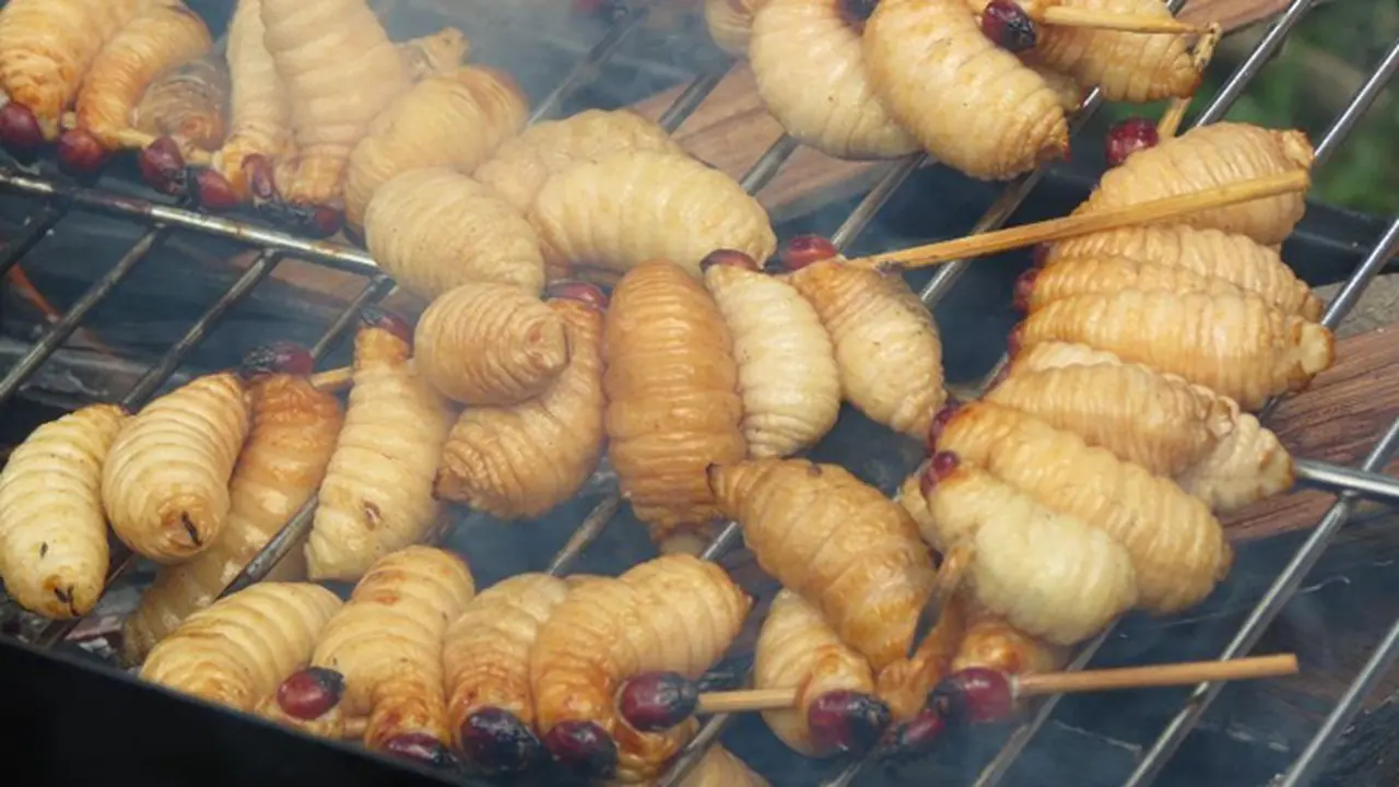 7 Makanan Ekstrim yang Hanya Bisa Dinikmati di Indonesia 