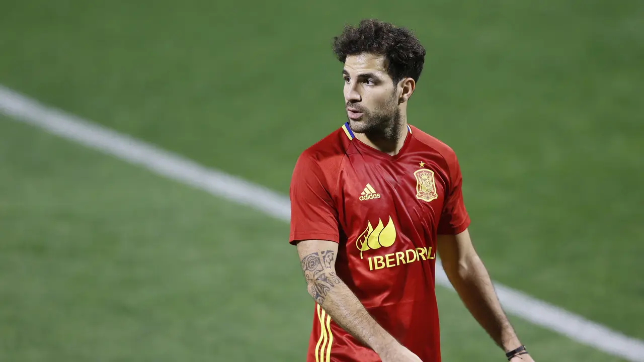 Cesc Fabregas