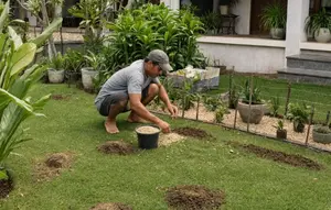 6 Cara Cepat Mengatasi Halaman yang Sering Digali Hewan, Gunakan Bahan Alami dan Praktis