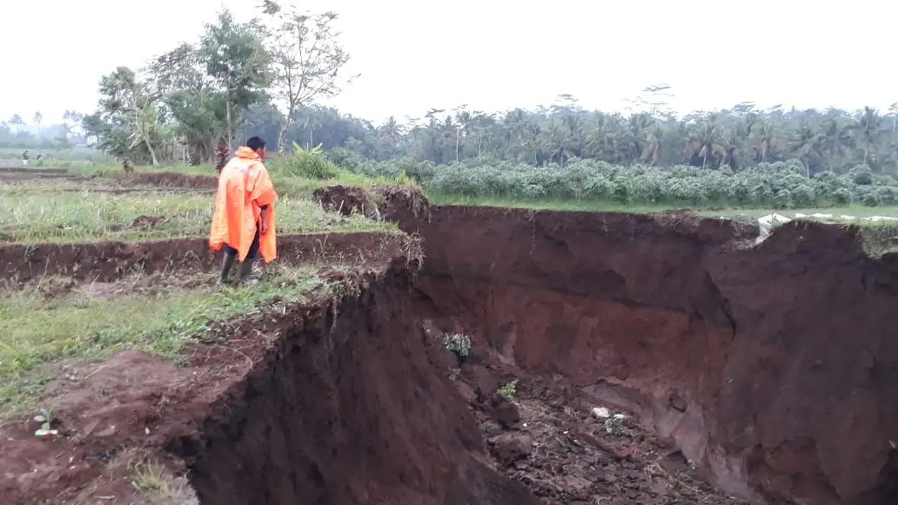 Longsor areal persawahan yang juga memutus jalan dan saluran irigasi. (Foto: Liputan6.com/BPBD Banyumas/Muhamad Ridlo)