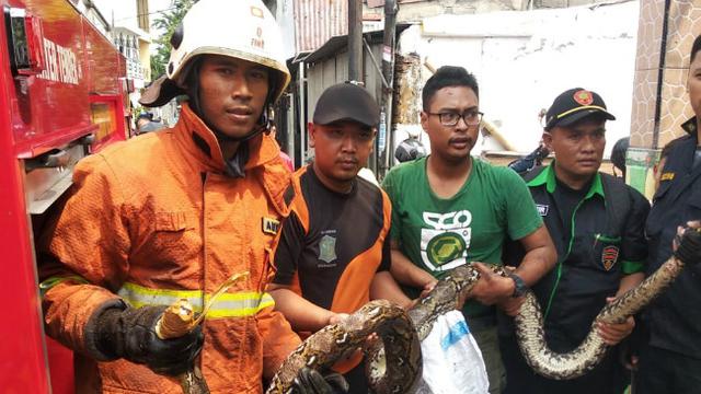 (Foto: Dok Dinas Pemadam Kebakaran Kota Surabaya)