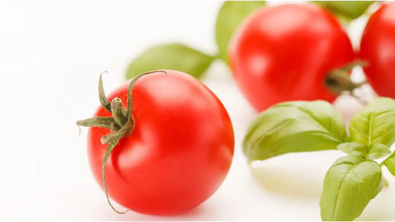 Tomat/Copyright Shutterstock
