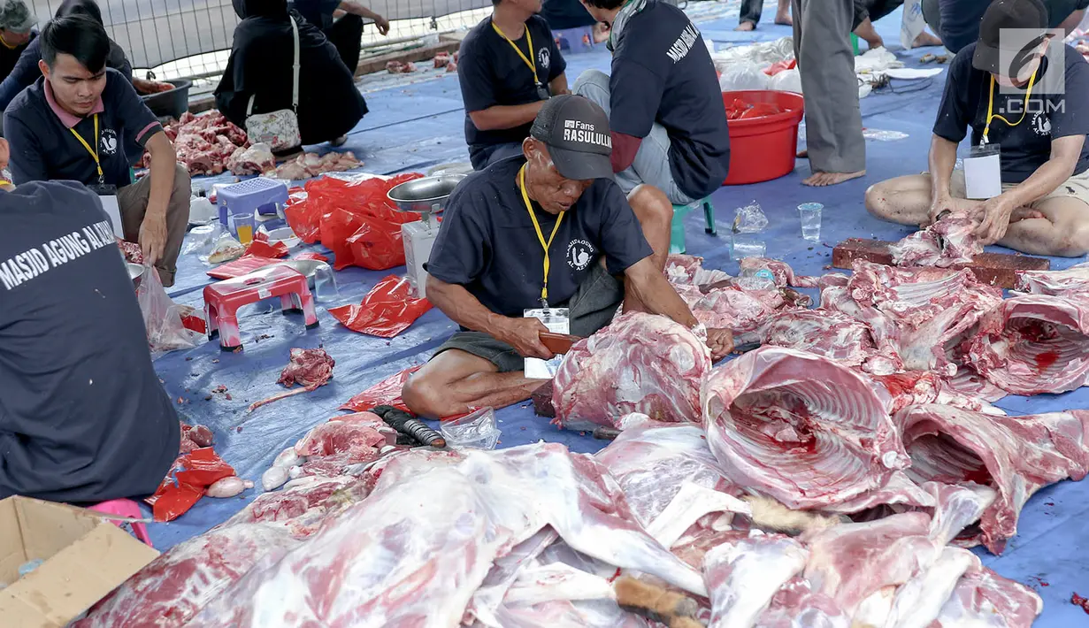 Sebanyak 51 ekor sapi dan 803 ekor kambing siap di kurban , dimana sebagian di antaranya akan disalurkan ke beberapa daerah. (Liputan6.com/Immanuel Antonius)