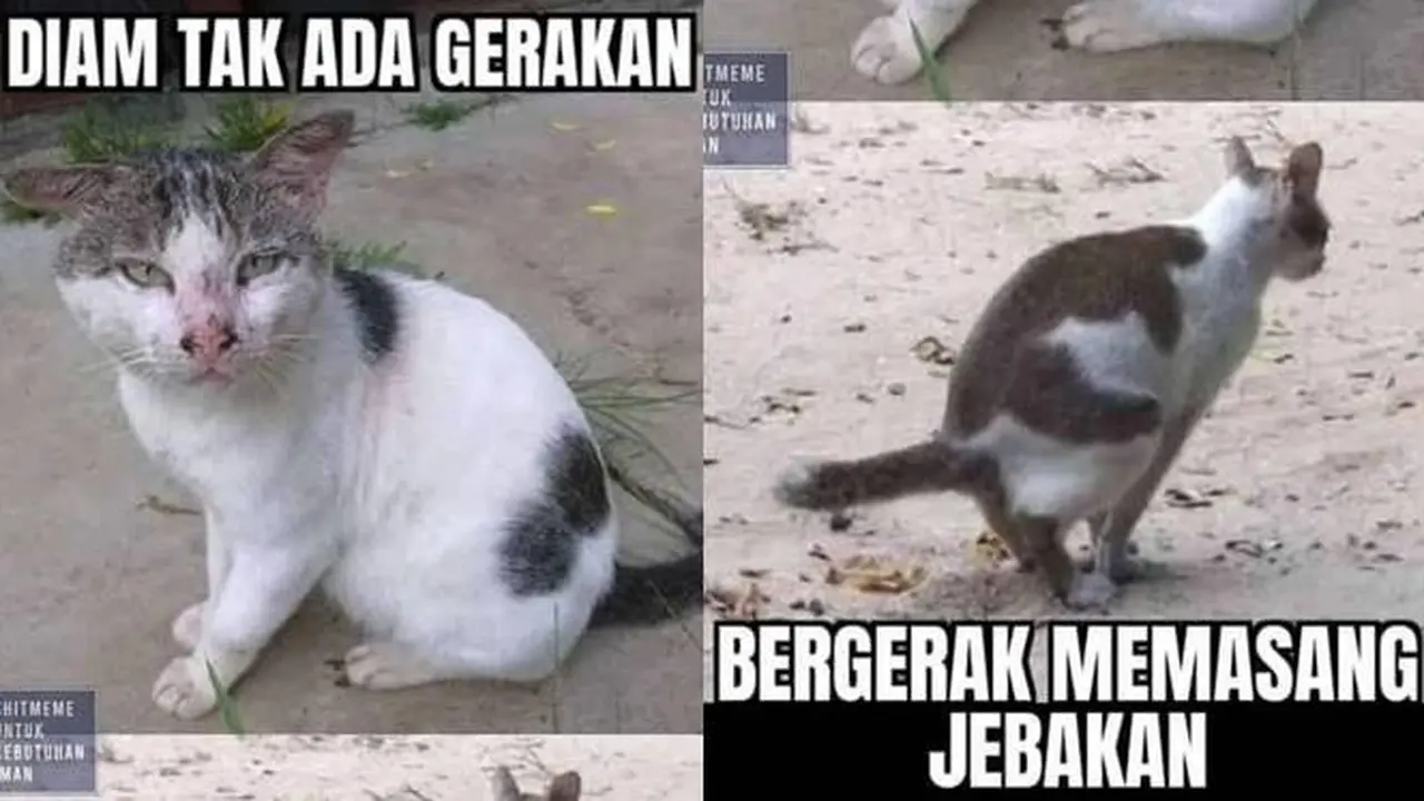 7 Meme Diam Bergerak Ini Banyak Terjadi di Dunia Nyata