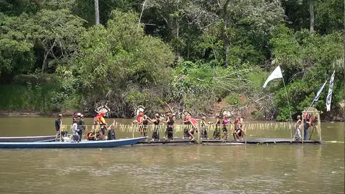 Sungai Amazon, arteri kehidupan di hutan hujan, memancarkan pesona alamnya yang megah dan kekayaan hayatinya yang luar biasa