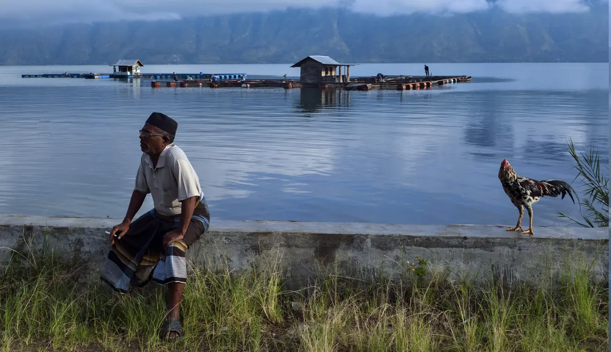 Seorang pria duduk di samping ayam jantan di danau Laut Tawar di Takengon, Aceh tengah, (1/3). Disisi barat danau ini terdapat sebuah kota kabupaten yaitu kota Takengon, yang juga merupakan ibu kota Kabupaten Aceh Tengah. (AFP Photo/Chaideer Mahyuddin)