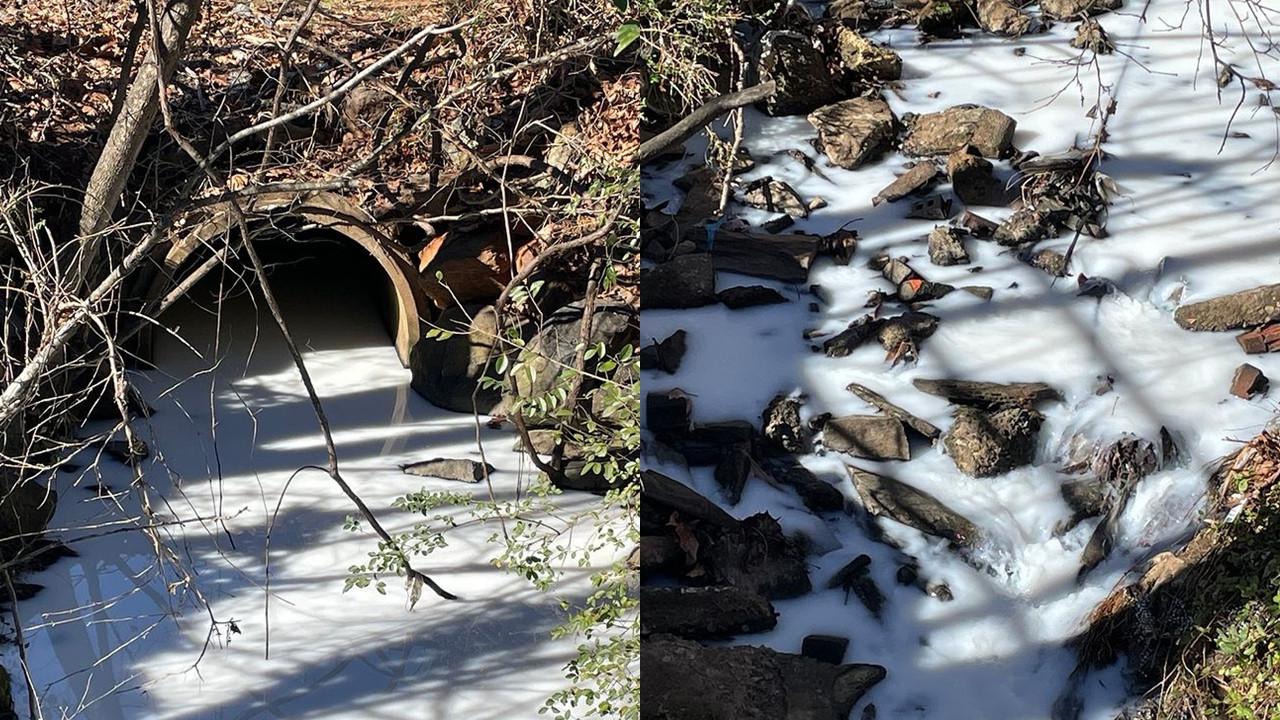 Sungai Susu di Amerika