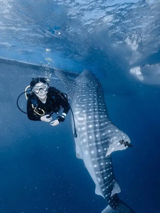 Seperti inilah keseruan Naysila Mirdad saat berfoto dengan Hiu di bawah laut [instagram/naymirdad]