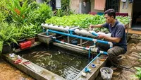 Top 3: Ide Ternak di Rumah Subsidi, Peluang Usaha Tanpa Produksi, hingga Dapur Kecil Rapi Estetik