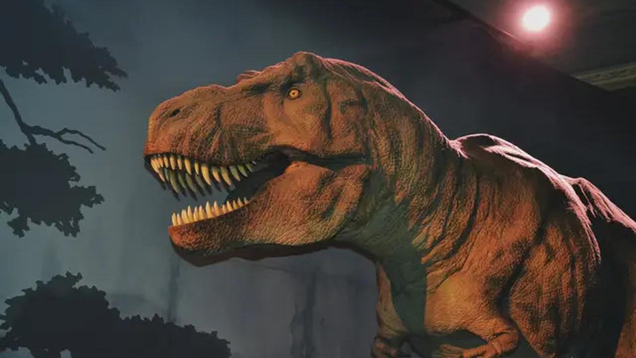 Penemuan Kotoran Makhluk Purba Ungkap Cara Dinosaurus Mendominasi Bumi