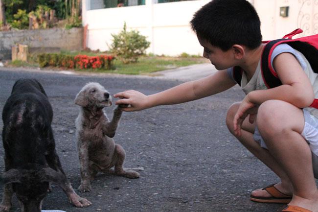 Mereka sering terluka parah, tapi aku tidak keberatan merawat mereka | Foto: copyright huffingtonpost.com