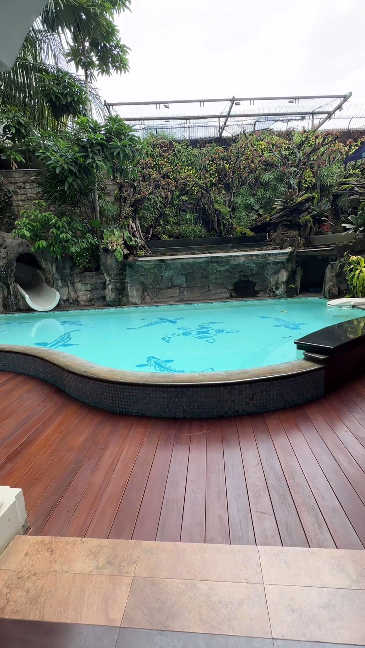 8 Potret Paludarium Raksasa di Rumah Denny Cagur yang Megah, Pemandangan Indah - Ditaksir Berharga Fantastis