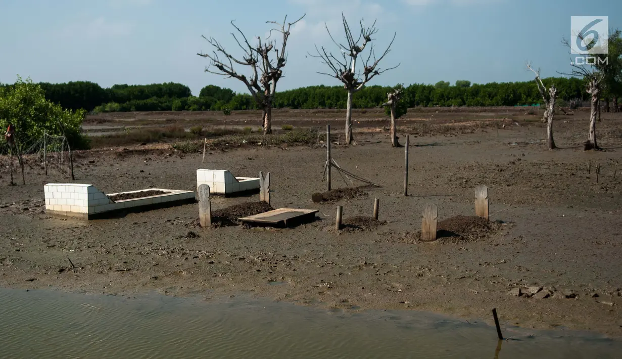 Pemakaman di Desa Pantai Bahagia terendam air, Muara Gembong, Kabupaten Bekasi, Jawa Barat, Jumat (9/6). Banjir rob sering terjadi di kawasan tersebut dengan ketinggian air mencapai 50 cm.(Liputan6.com/Gempur M Surya)