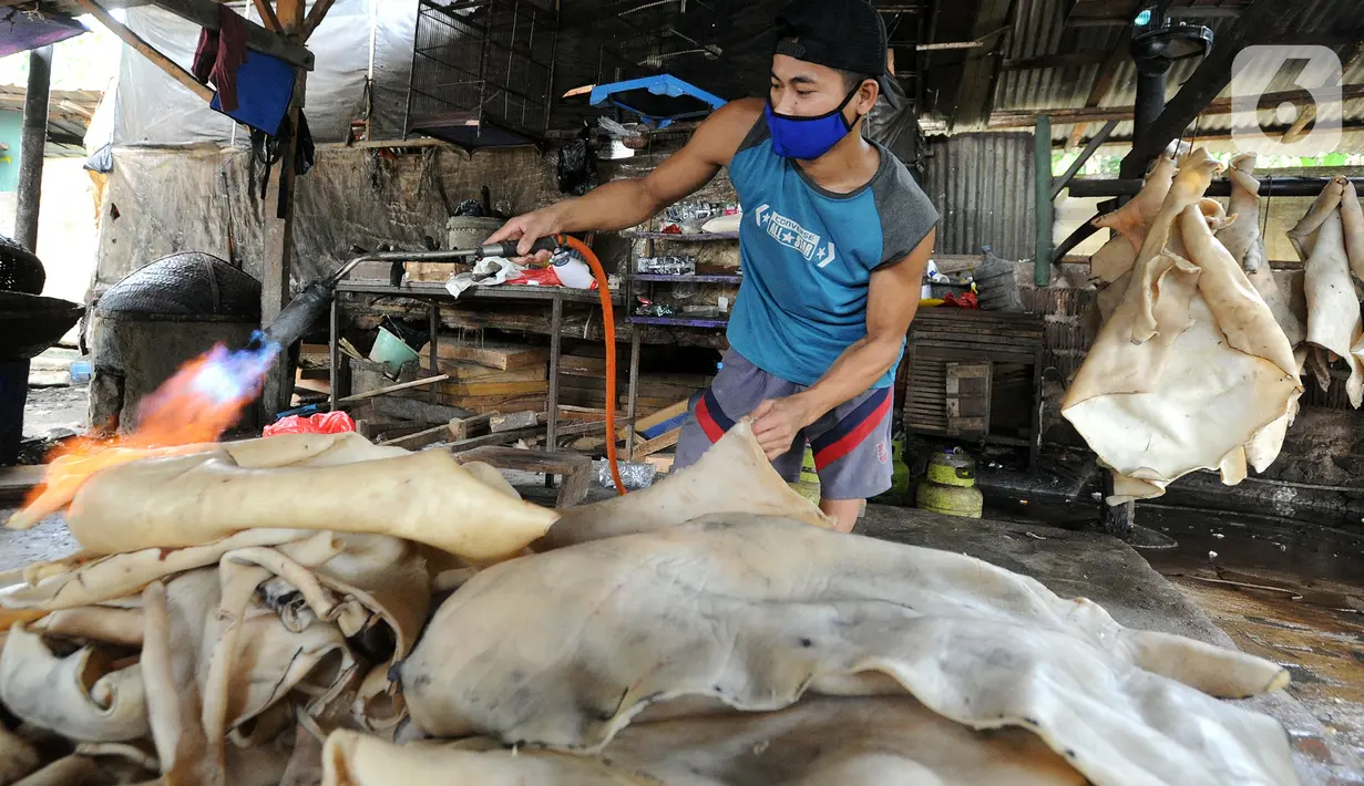 Aktivitas pekerja memproduksi kerupuk kulit di Pabrik Krupuk Kulit Bambang, Depok, Rabu (17/2/2021). Pemilik usaha menurunkan jumlah produksi kerupuk kulit mentah siap goreng dari 1 ton menjadi 500 kg per hari akibat pandemi COVID-19 dengan harga jual Rp90 ribu per kilogram (merdeka.com/Arie Basuki)