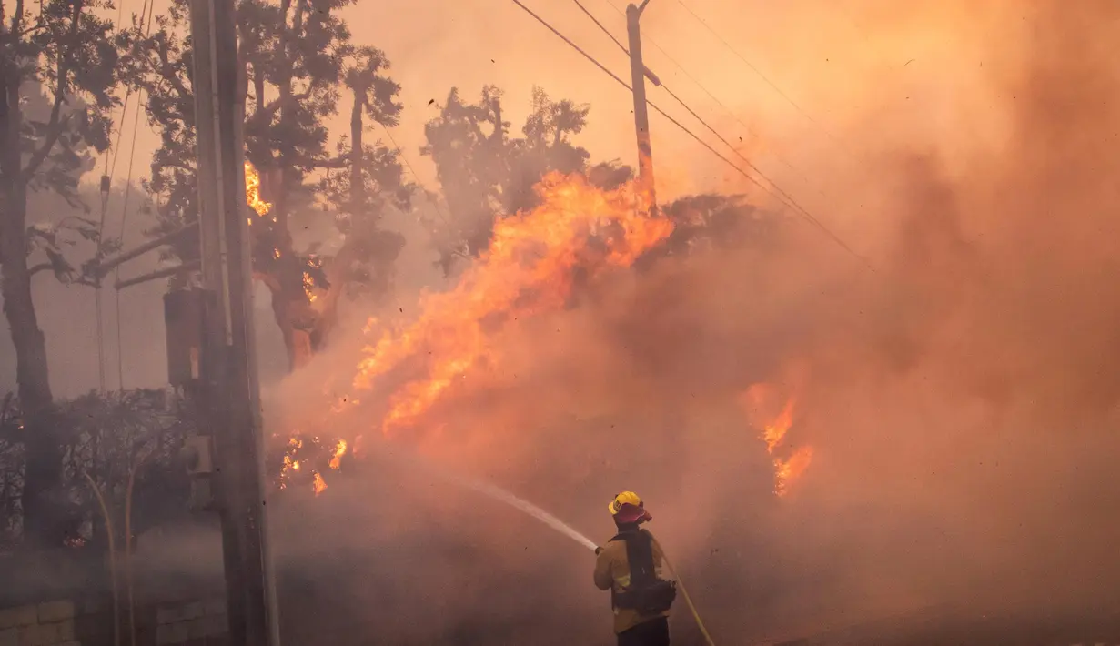 <p>Kepala Pemadam Kebakaran Los Angeles Kristin Crowley menyebut hampir 26.000 orang dari lebih 10.000 rumah tangga dan 13.000 bangunan terancam kebakaran. (Apu Gomes/Getty Images North America/Getty Images via AFP)</p>