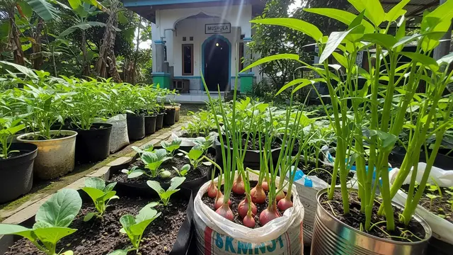 ide kebun di mushola kecil tanpa modal besar