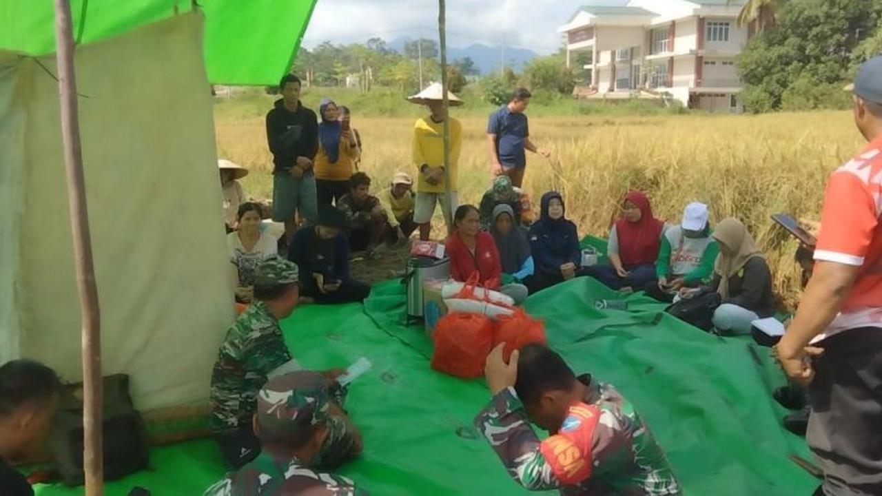 Tahukah Anda, Panen Padi Bengkayang Jadi Momentum Penting Perkuat Ketahanan Pangan Daerah?