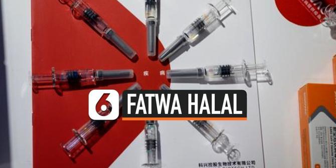 VIDEO: MUI Keluarkan Fatwa Halal Vaksin Covid-19 Sinovac
