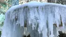 Air mancur Josephine Shaw Lowell yang membeku di Taman Bryant, New York, Selasa (2/1). Cuaca sangat dingin menjadi pembuka tahun baru bagi sebagian besar warga di wilayah tengah dan utara Amerika Serikat. (AFP PHOTO / TIMOTHY A. CLARY)