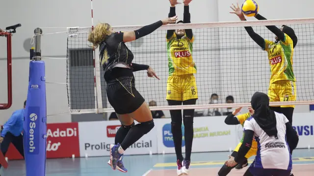 PLN Mobile Proliga 2022