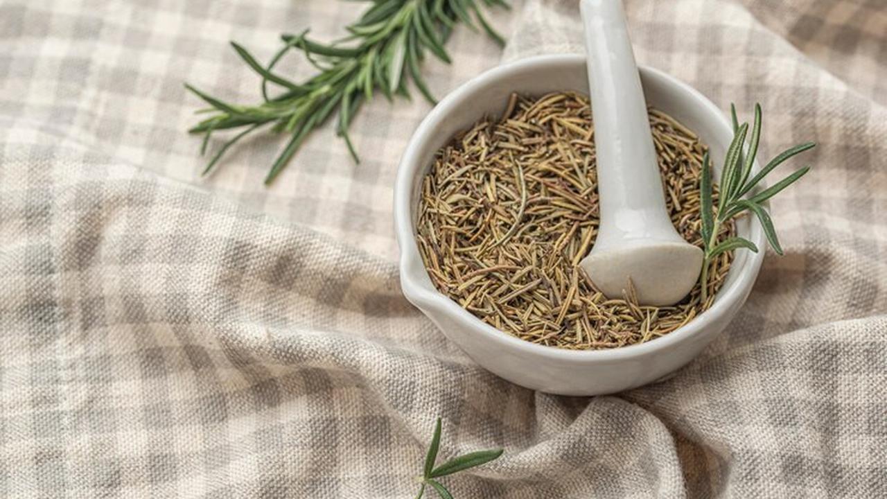 Oregano