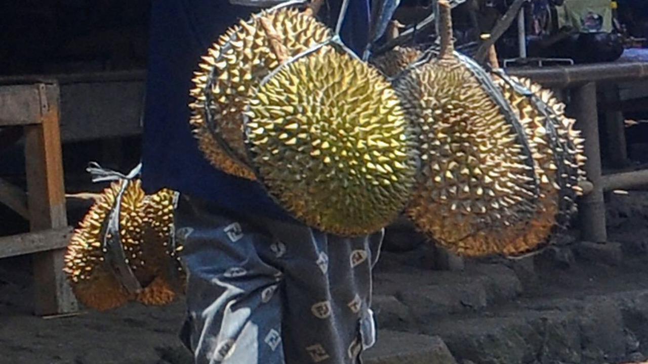 FOTO: Potret Kesederhanaan Bocah Suku Baduy Selalu Ceria Bantu Orang Tua Jualan Durian Pikul Keliling di Lebak